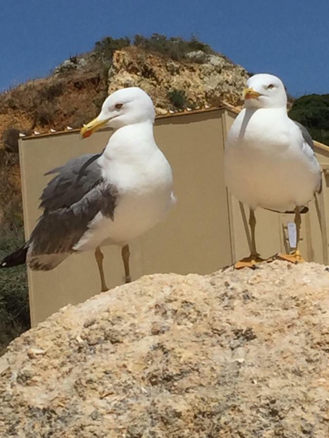 Apartment In Algarve,Vilamoura Kültér fotó